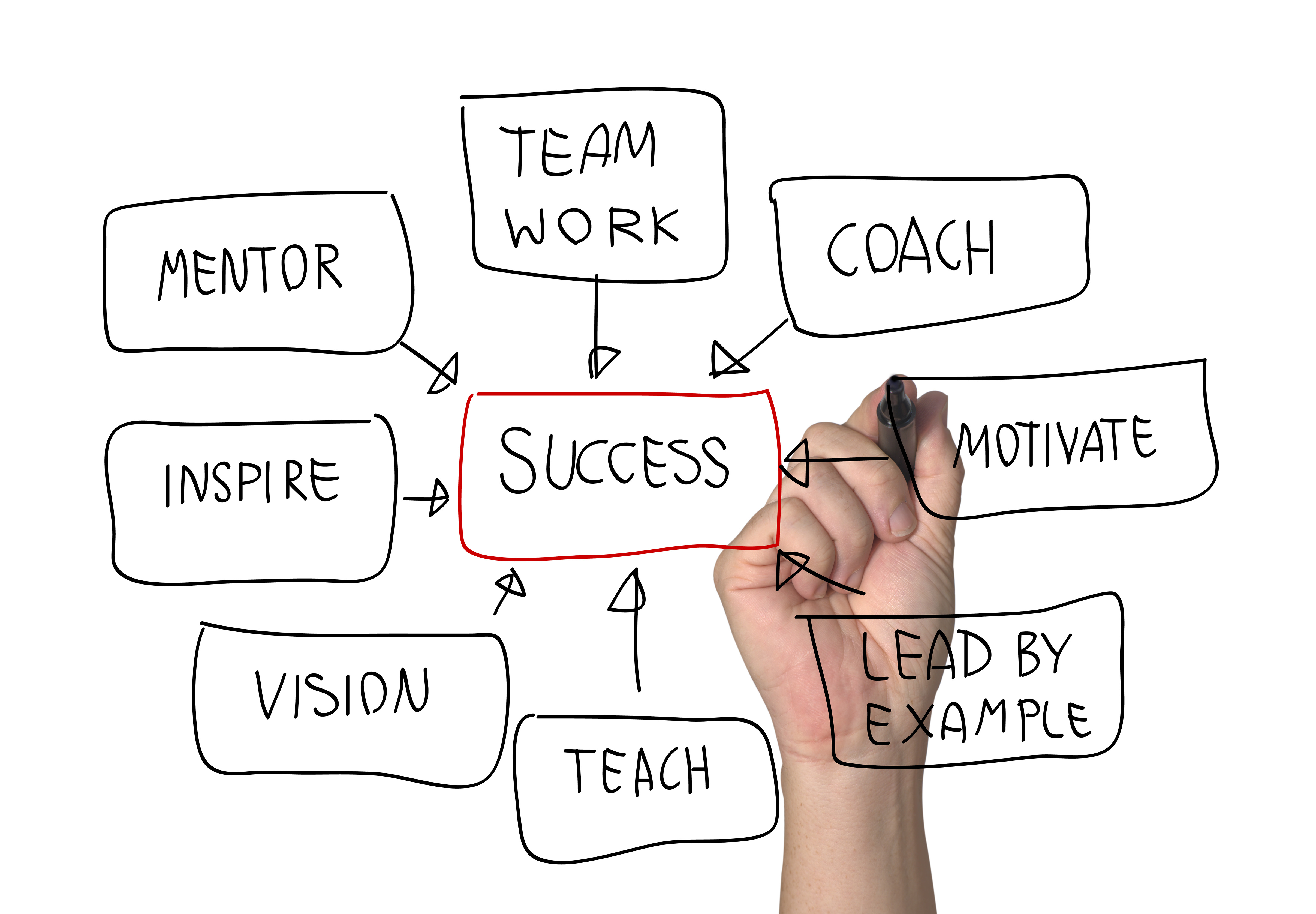 Effective Coaching and Counseling Skills for Managers and Supervisors |  Varga & Associates