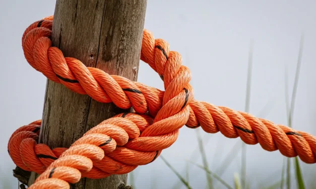 Loose Ties Lead to Unexpected Benefits